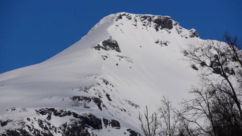 dsc09279-standard.jpg