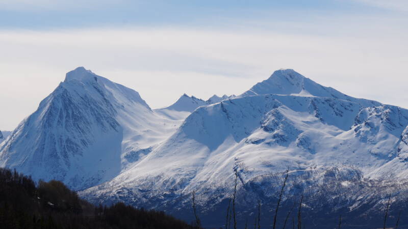 dsc09285-standard.jpg