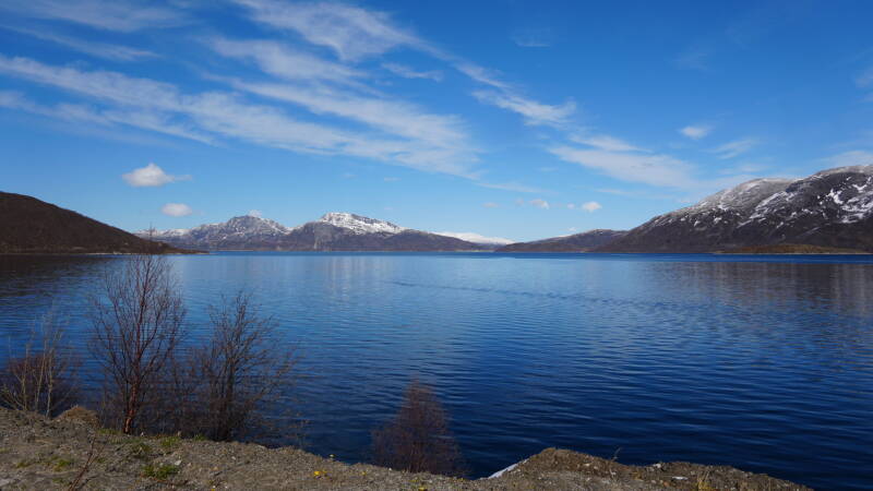 dsc09303-standard.jpg