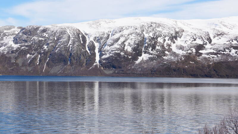 dsc09305-standard.jpg