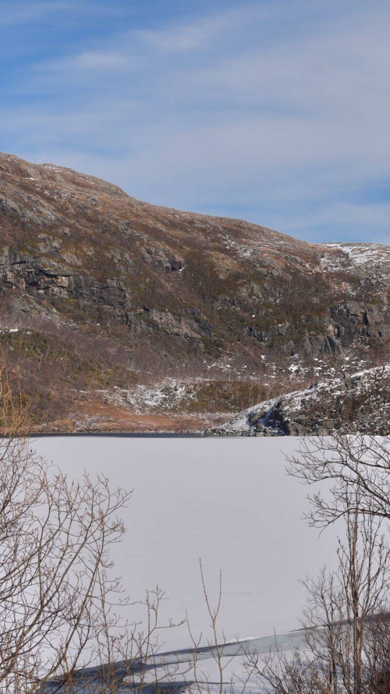 dsc09308-standard.jpg