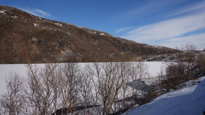 dsc09310-standard.jpg