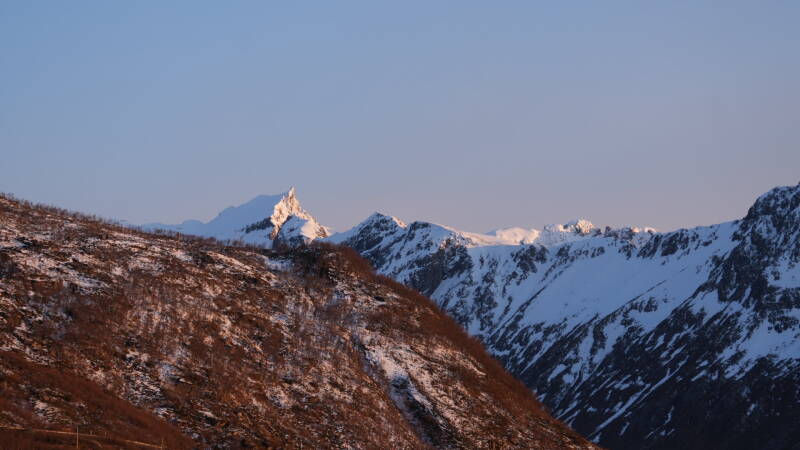 dsc09326-standard.jpg