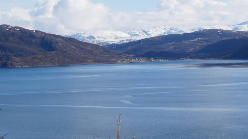 dsc09458-standard.jpg