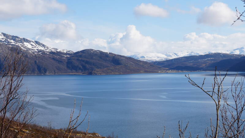 dsc09460-standard.jpg