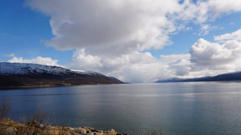 dsc09465-standard.jpg