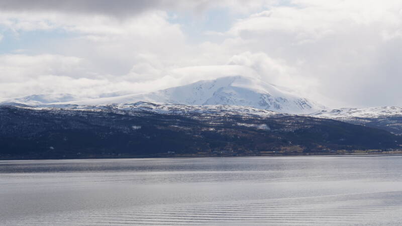 dsc09468-standard.jpg