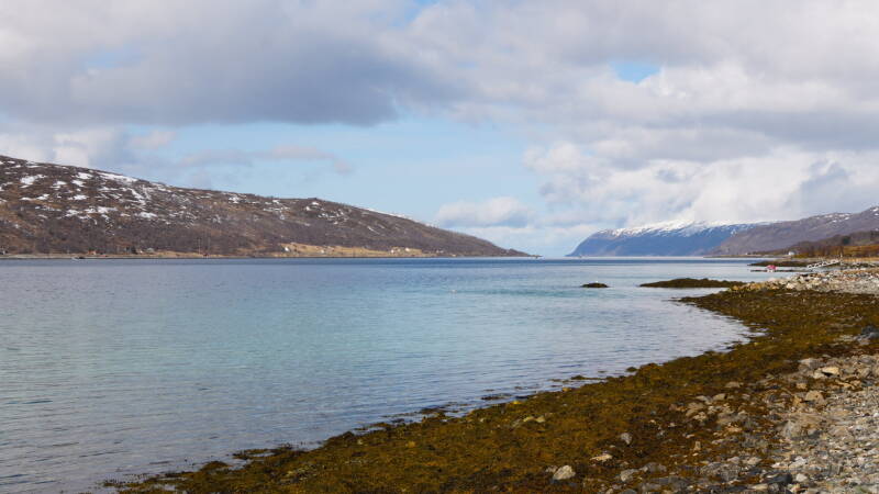 dsc09472-standard.jpg