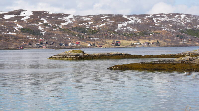 dsc09482-standard.jpg