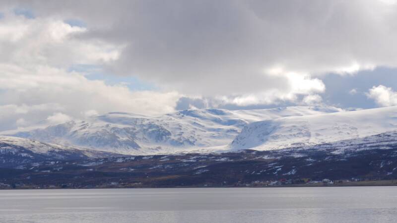 dsc09490-standard.jpg