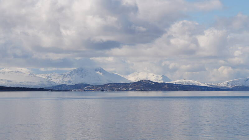 dsc09501-standard.jpg