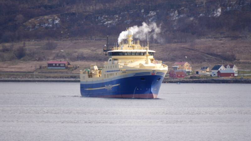 dsc09516-standard.jpg