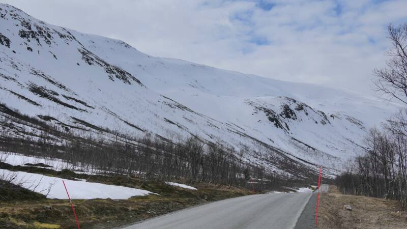 dsc09546-standard.jpg