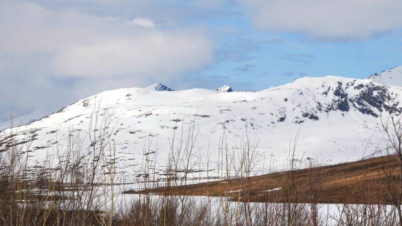 dsc09548-standard.jpg