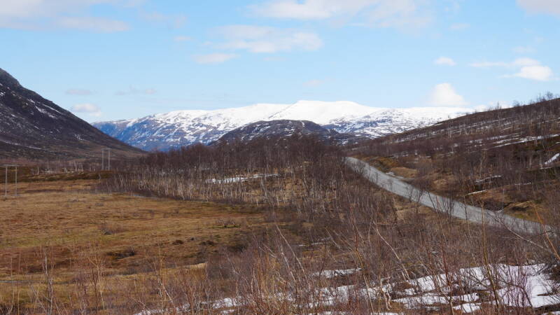 dsc09549-standard.jpg