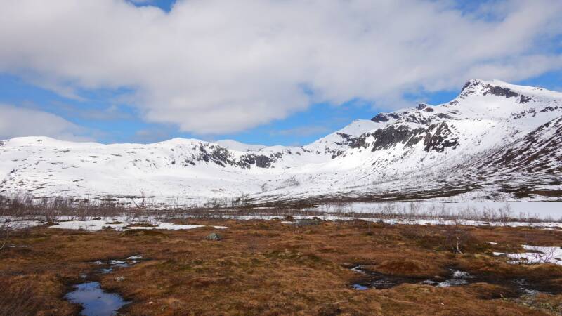 dsc09554-standard.jpg