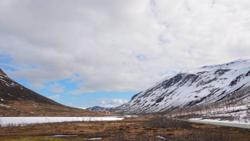 dsc09557-standard.jpg