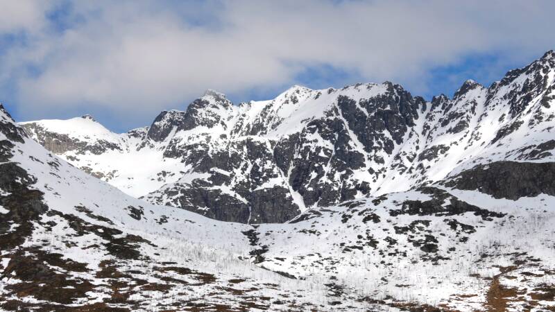 dsc09558-standard.jpg