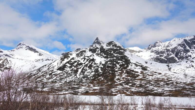 dsc09560-standard.jpg