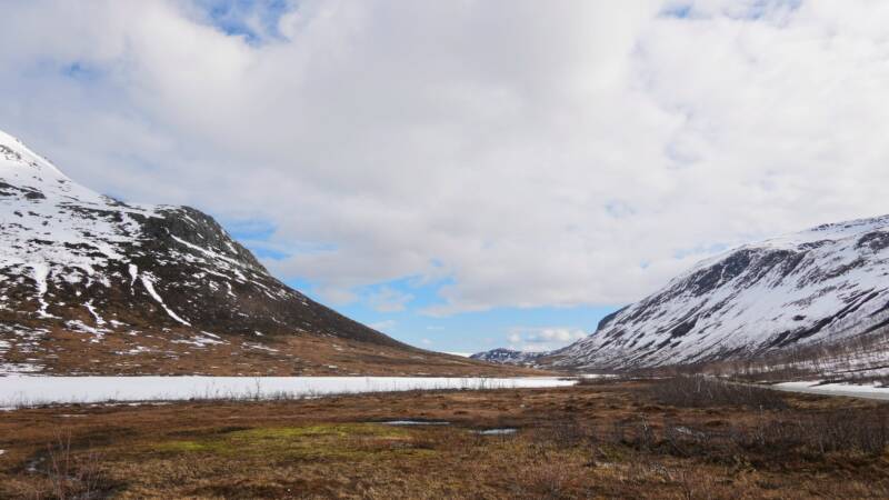 dsc09562-standard.jpg