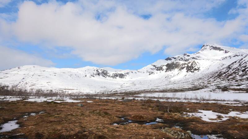 dsc09564-standard.jpg