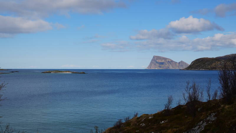 dsc09569-standard.jpg