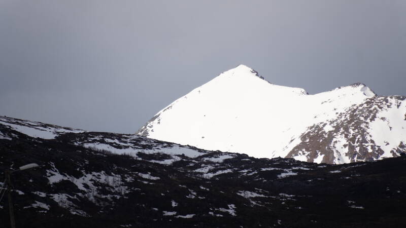 dsc09586-standard.jpg