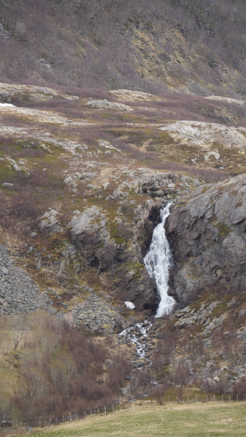 dsc09587-standard.jpg