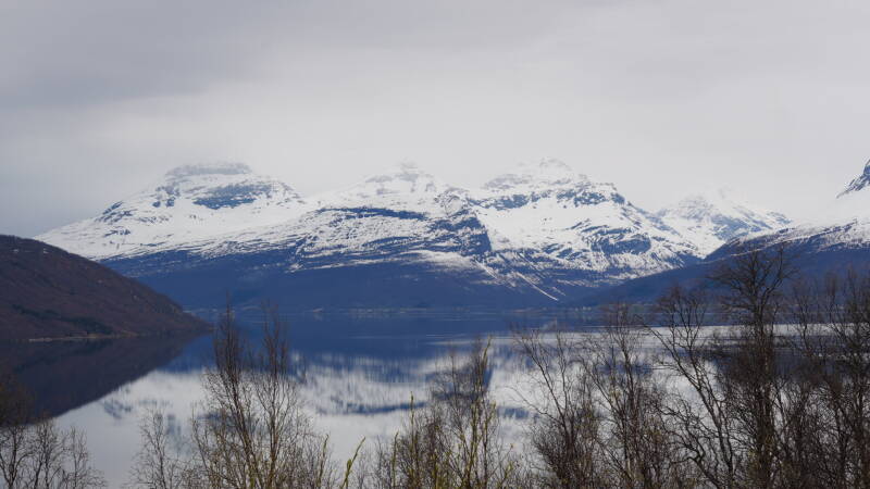 dsc09600-standard.jpg