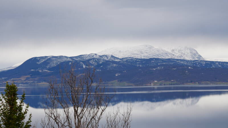 dsc09602-standard.jpg