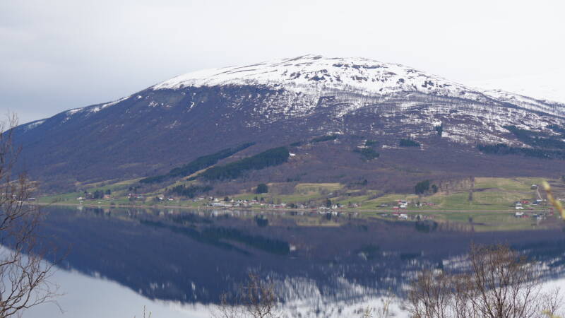 dsc09603-standard.jpg