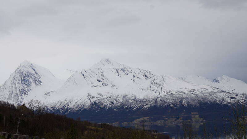 dsc09608-standard.jpg
