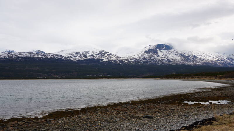 dsc09611-standard.jpg