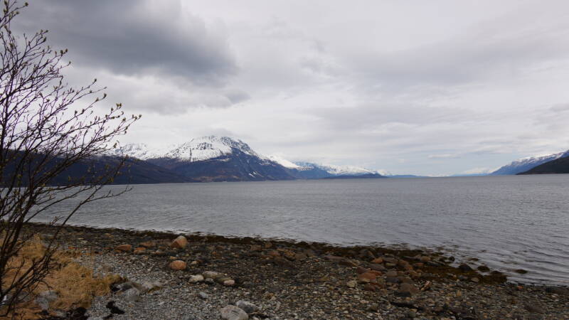 dsc09614-standard.jpg