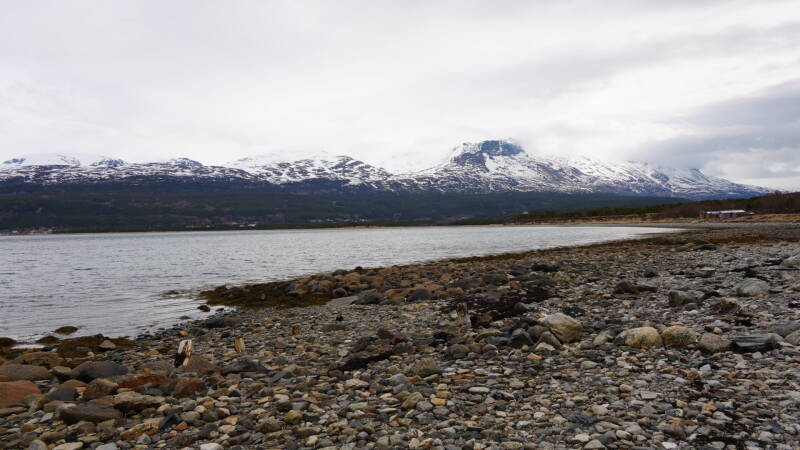 dsc09619-standard.jpg