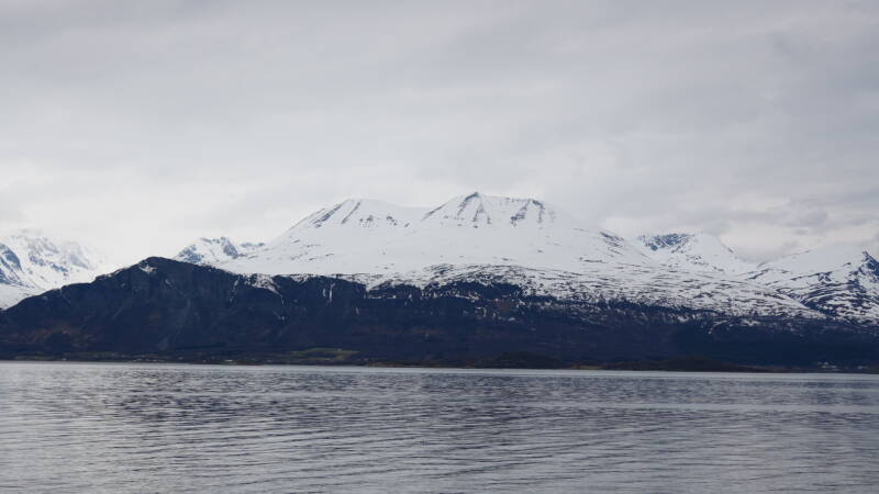 dsc09629-standard.jpg