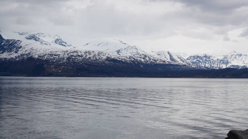 dsc09632-standard.jpg