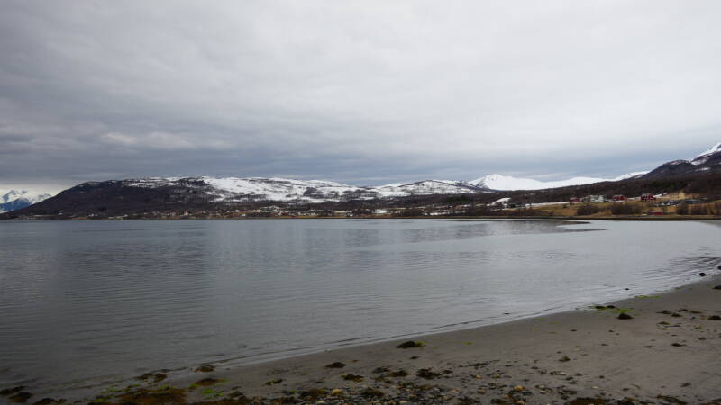 dsc09639-standard.jpg