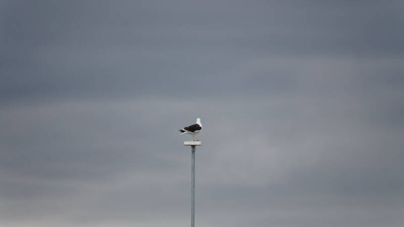 dsc09646-standard.jpg