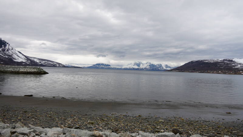 dsc09655-standard.jpg