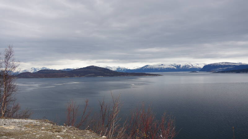 dsc09660-standard.jpg