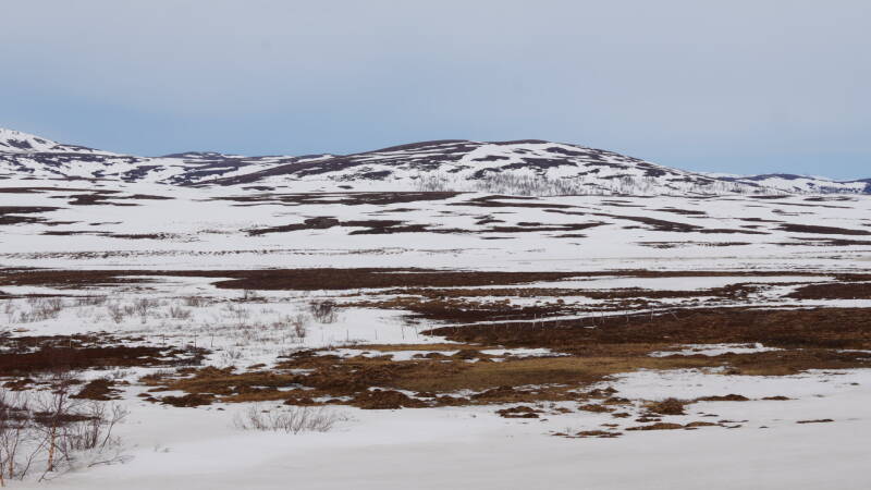 dsc09677-standard.jpg
