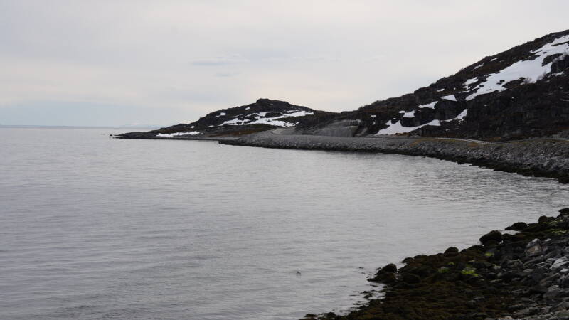 dsc09713-standard.jpg