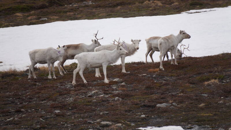 dsc09717-standard.jpg