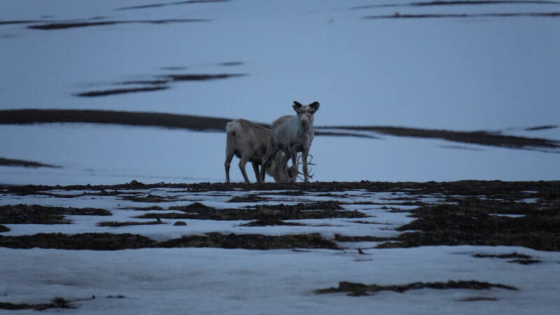 dsc09732-standard.jpg