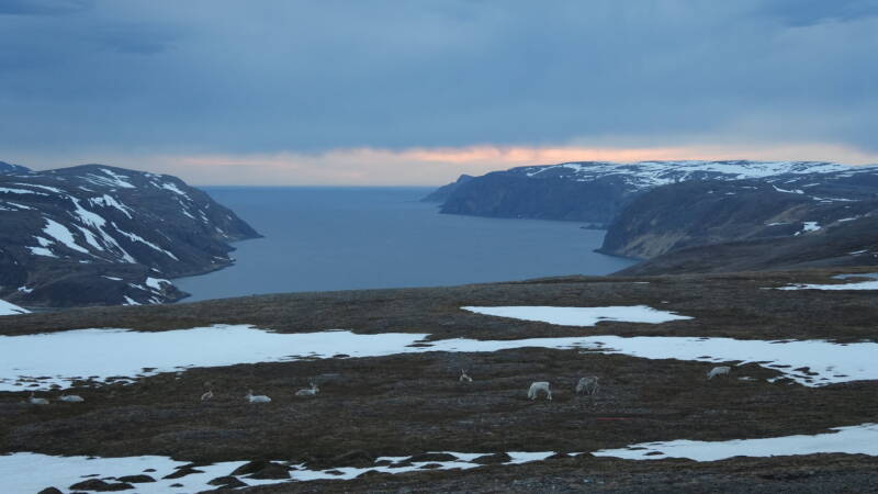 dsc09744-standard-jw58hd.jpg