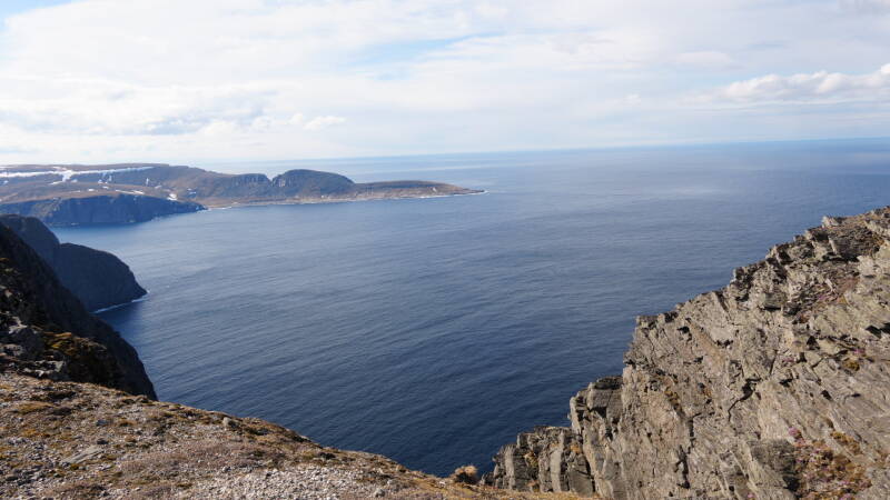 dsc09867-standard.jpg