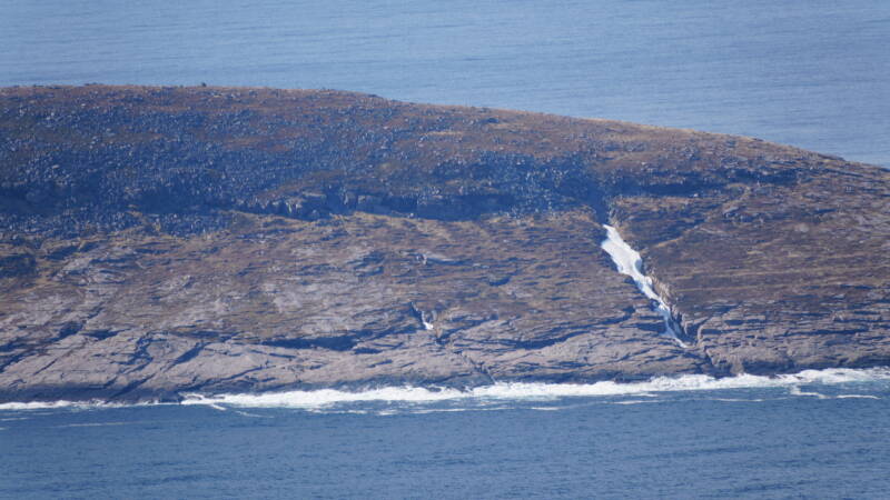 dsc09869-standard.jpg