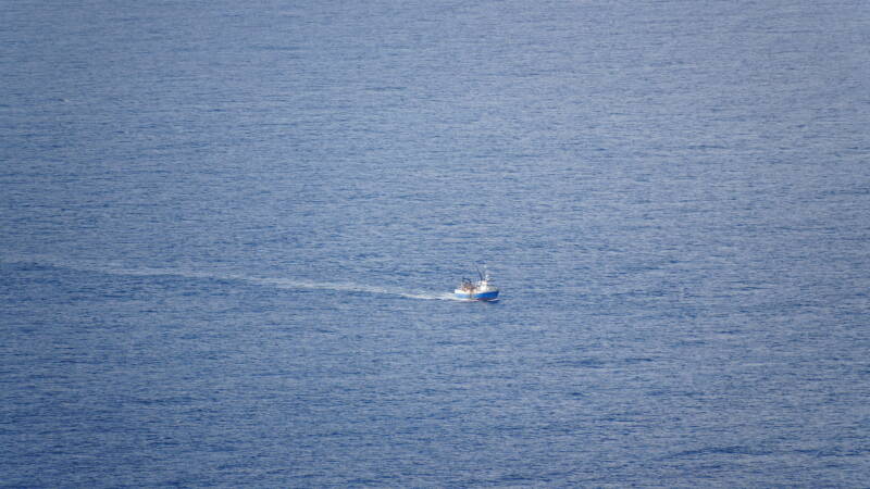 dsc09894-standard.jpg