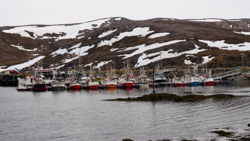 dsc09903-standard.jpg